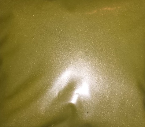 Safari Yellow Pearl 25g