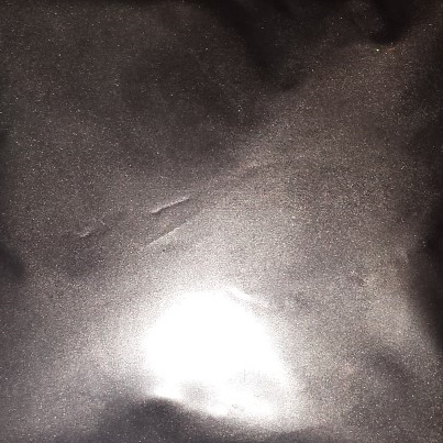 Silver Fox Pearl 25g